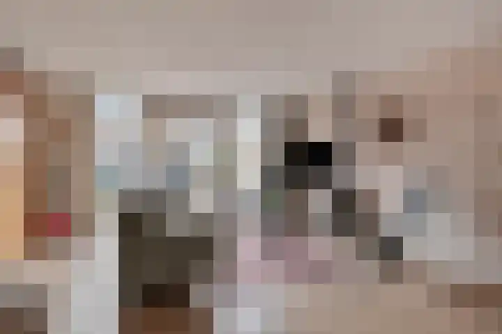 Lange Dresch 49 Akersloot thumbnail 6