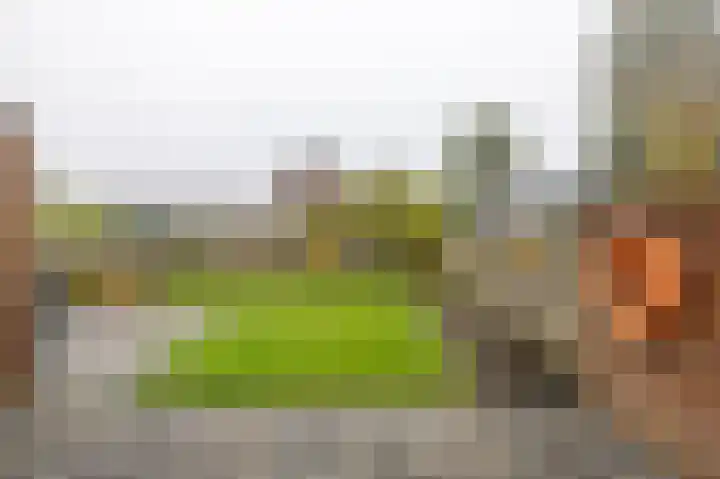 Lange Drift 13 Uithuizermeeden thumbnail 39