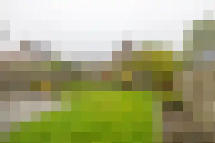 Lange Drift 13 Uithuizermeeden thumbnail 40