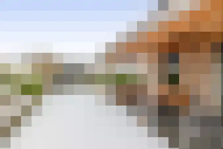 Lange Drift 39 Uithuizermeeden thumbnail 30
