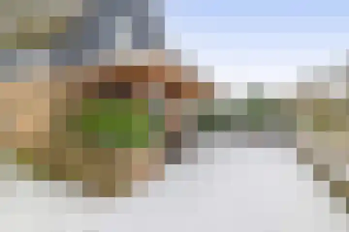 Lange Drift 39 Uithuizermeeden thumbnail 31