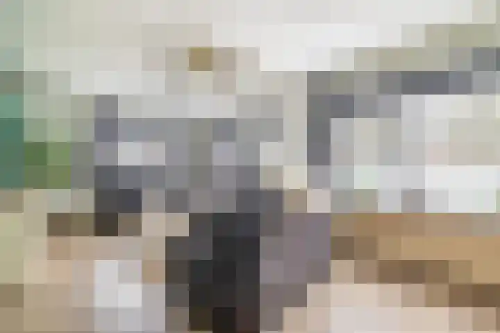 Lange Drift 39 Uithuizermeeden thumbnail 8