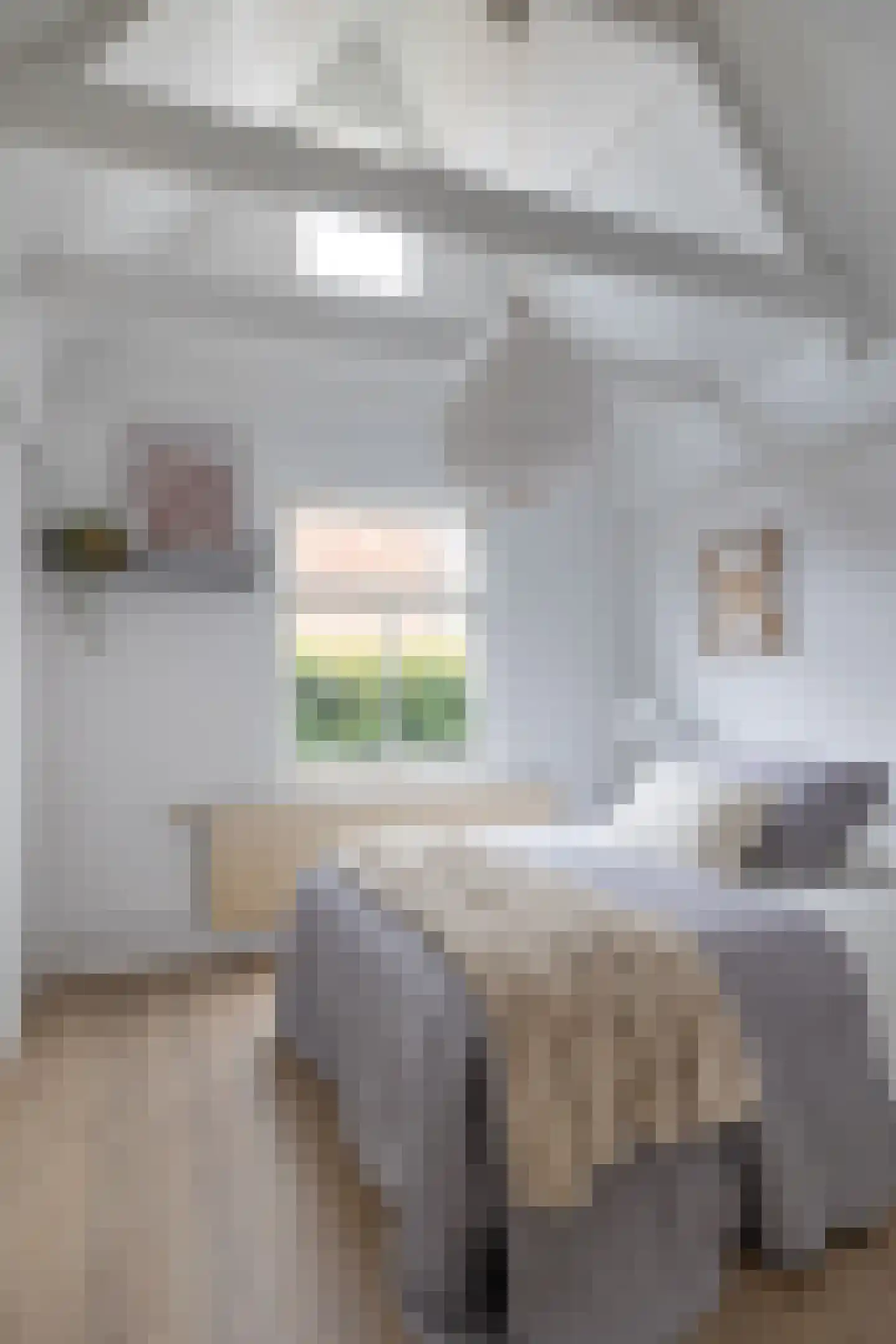 Lange Dwarsstraat 10 b Gouda thumbnail 15