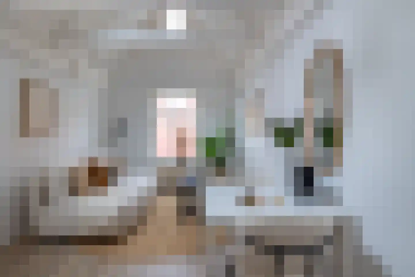 Lange Dwarsstraat 10 b Gouda thumbnail 7