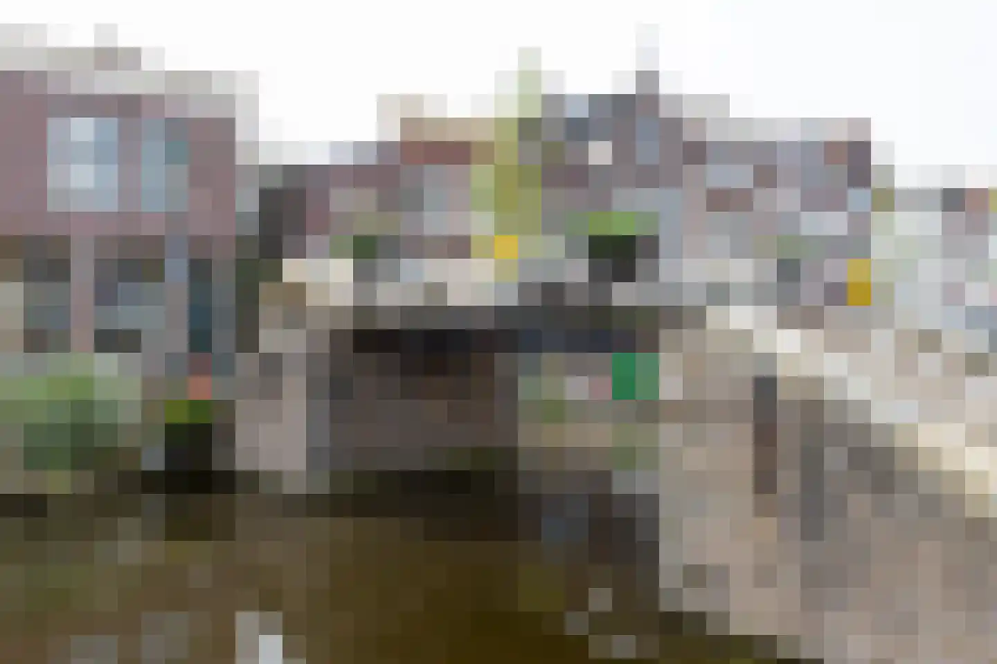Lange Dwarsstraat 42 Gouda thumbnail 62