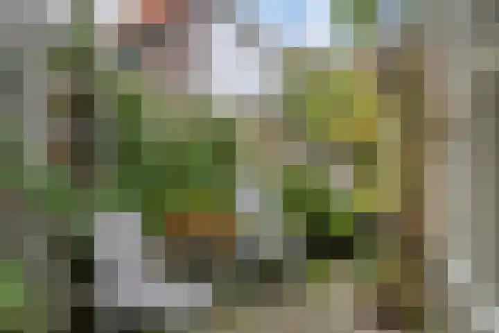 Lange Dwarsstraat 5 Gouda thumbnail 10