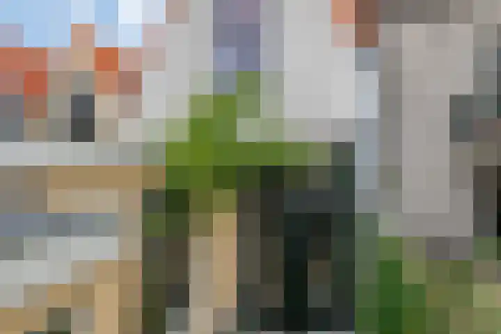 Lange Dwarsstraat 5 Gouda thumbnail 19