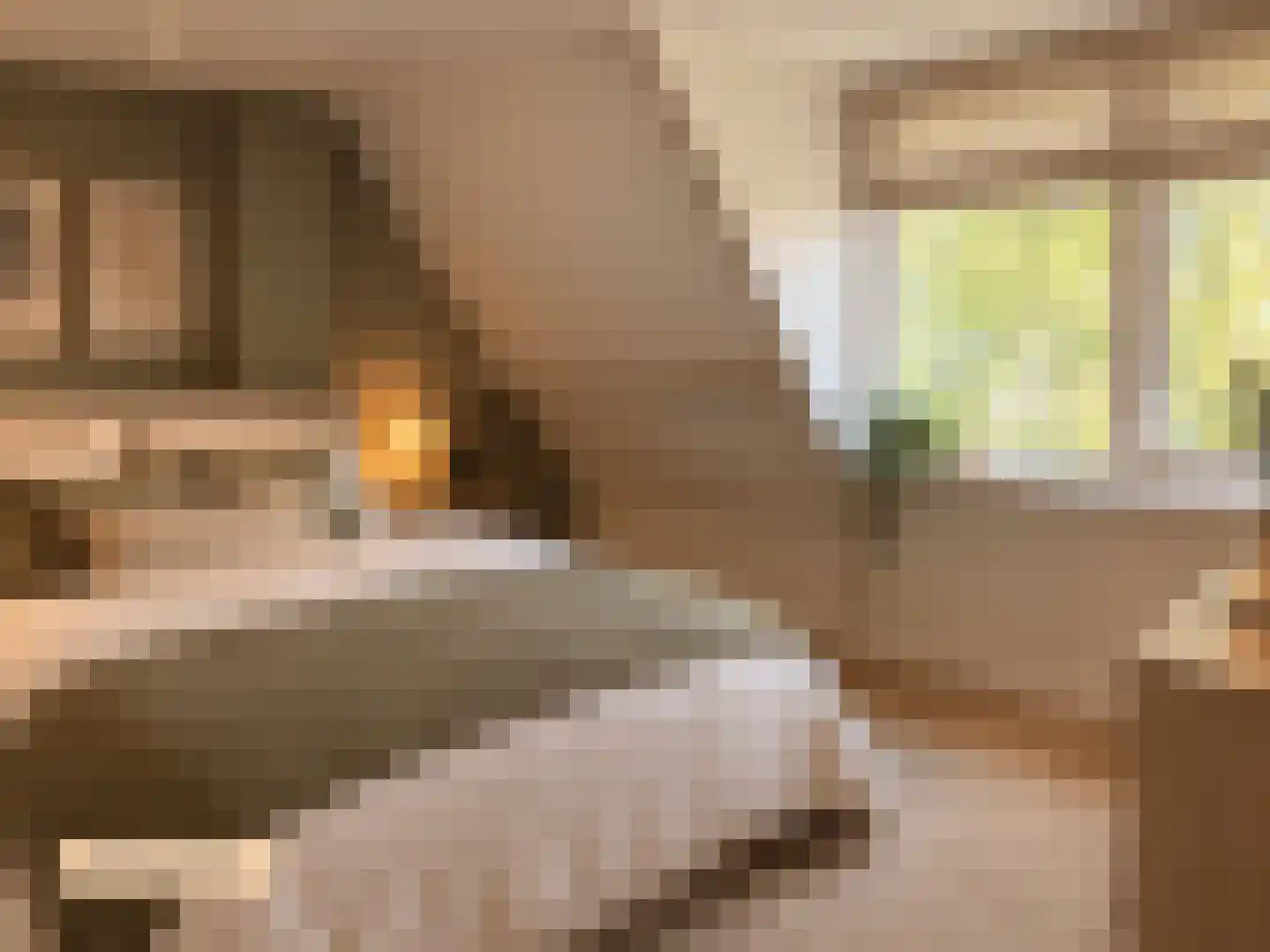 Lange Dyk 7 Minnertsga thumbnail 12