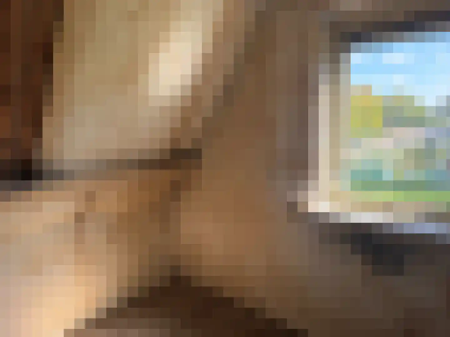 Lange Dyk 7 Minnertsga thumbnail 13