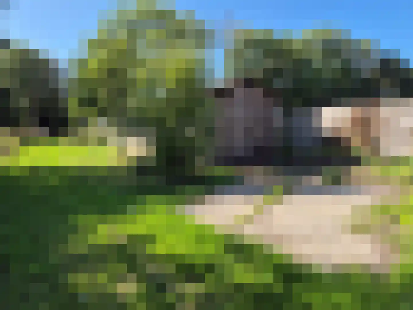 Lange Dyk 7 Minnertsga thumbnail 19