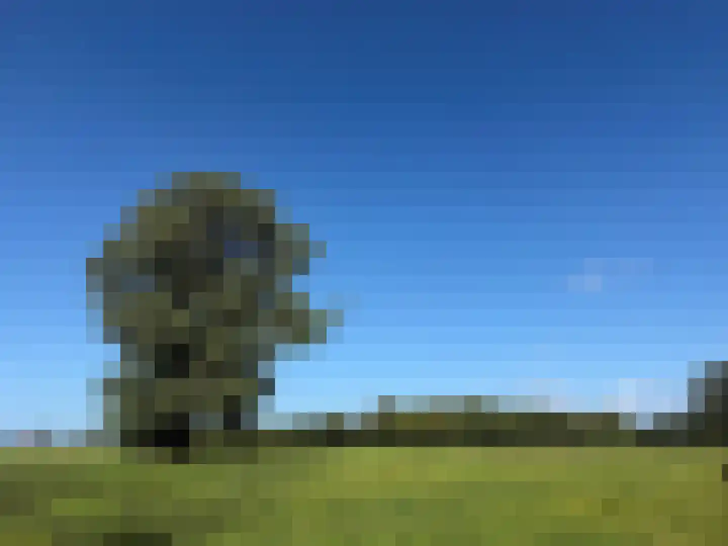 Lange Dyk 7 Minnertsga thumbnail 25