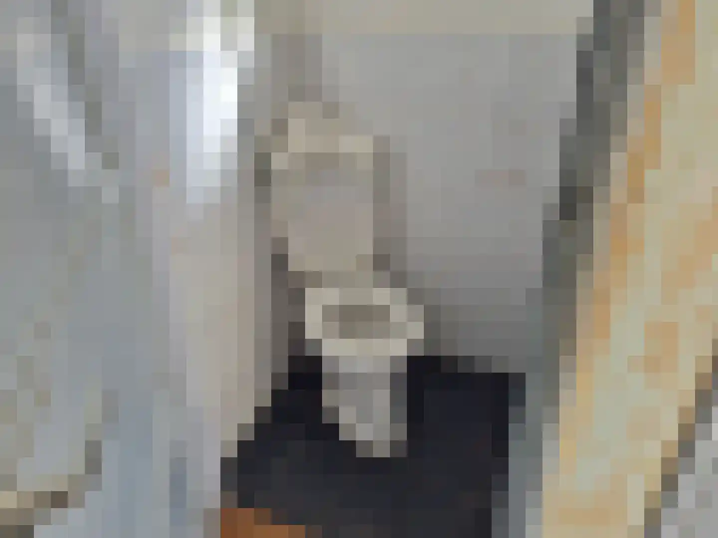 Lange Dyk 7 Minnertsga thumbnail 5