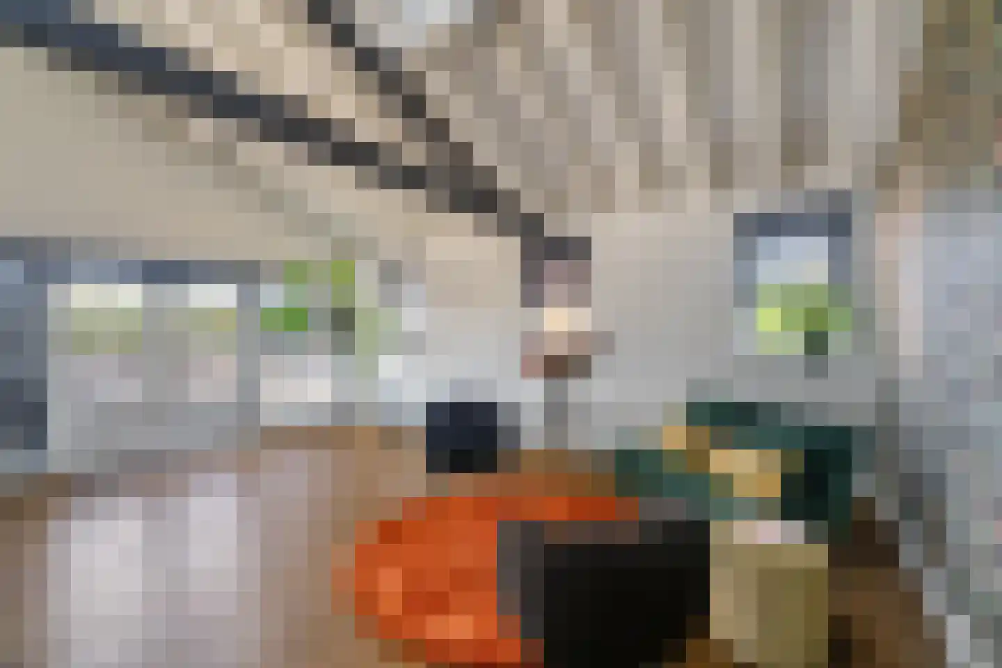 Lange Eendragtsweg 2 Zuid-Beijerland thumbnail 14