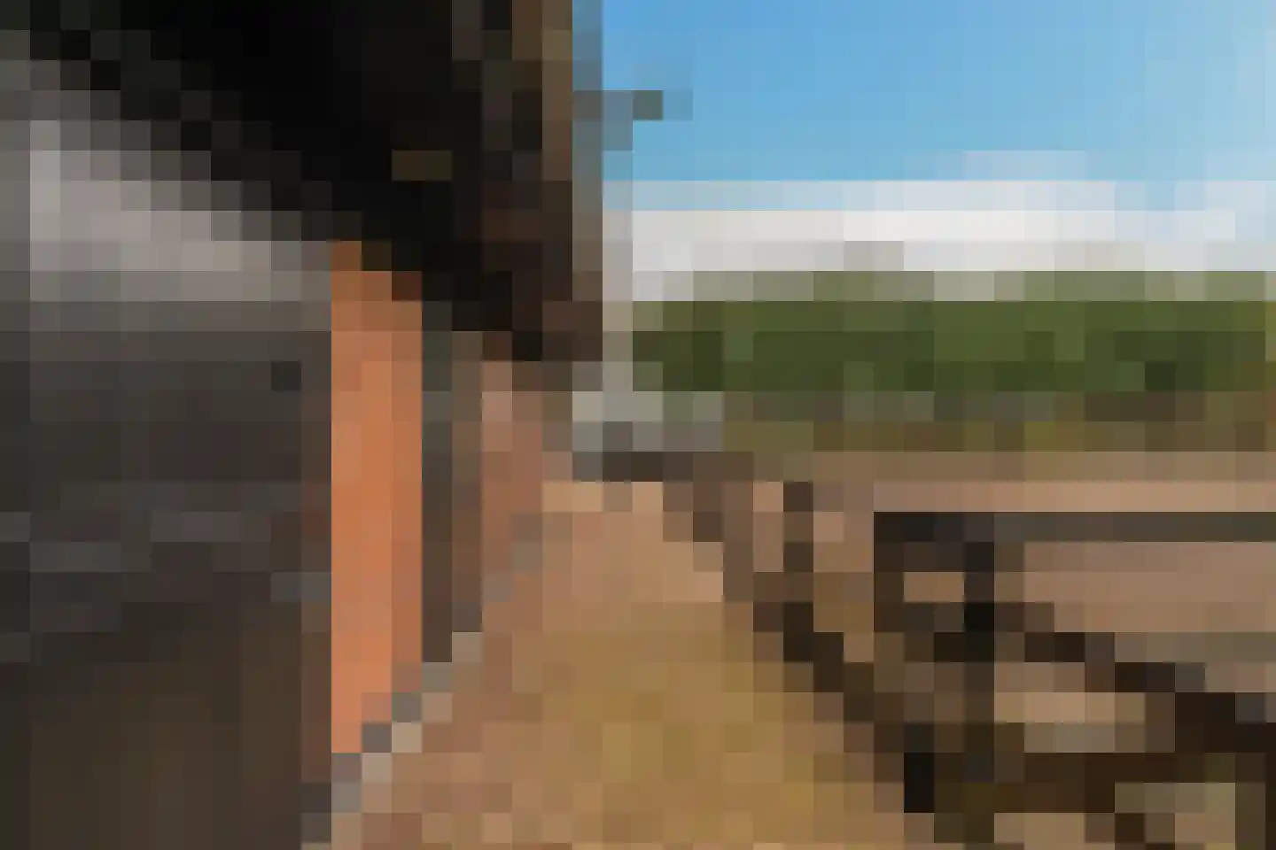 Lange Eendragtsweg 2 Zuid-Beijerland thumbnail 25