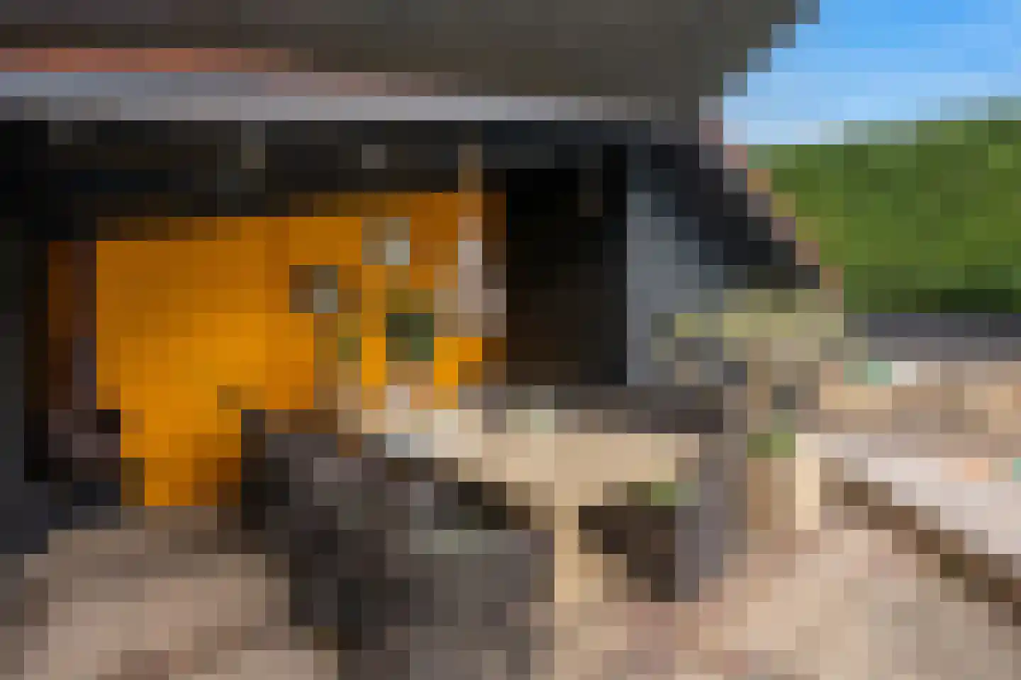 Lange Eendragtsweg 2 Zuid-Beijerland thumbnail 36