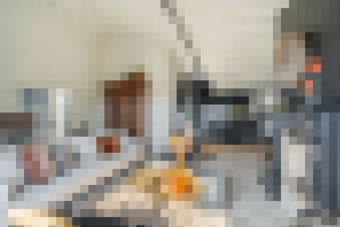 Lange Eendragtsweg 2 Zuid-Beijerland thumbnail 5
