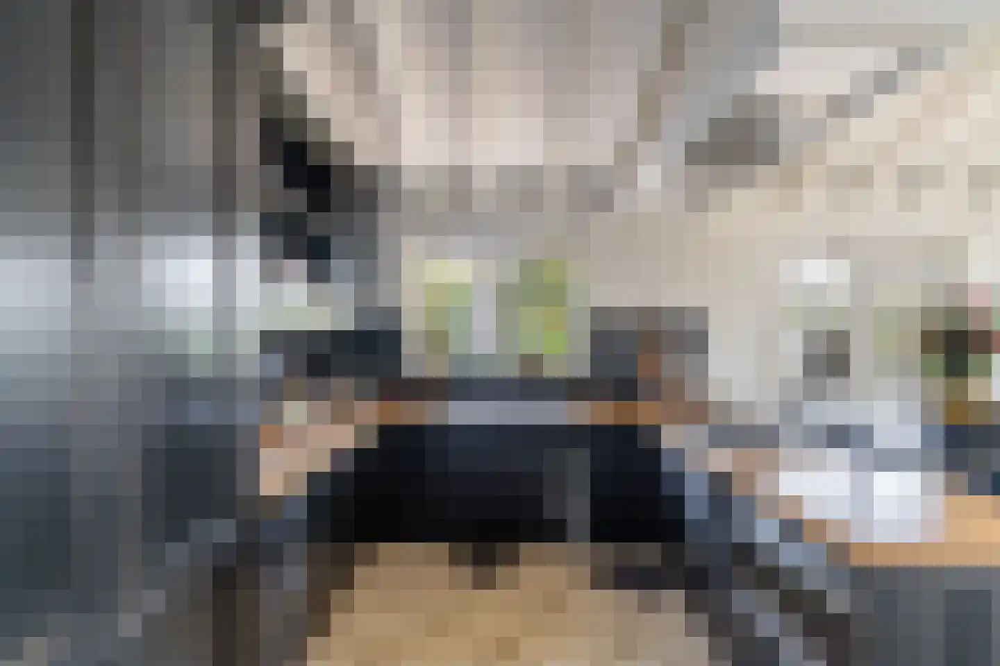 Lange Eendragtsweg 2 Zuid-Beijerland thumbnail 8