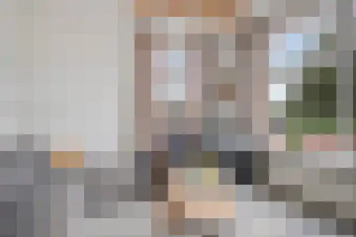 Lange Geer 15 Hansweert thumbnail 10