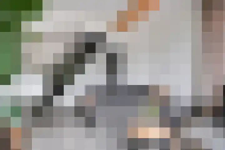 Lange Geer 15 Hansweert thumbnail 11