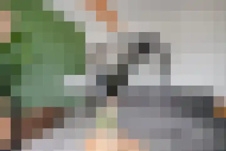 Lange Geer 15 Hansweert thumbnail 12