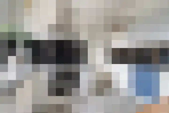 Lange Geer 15 Hansweert thumbnail 16