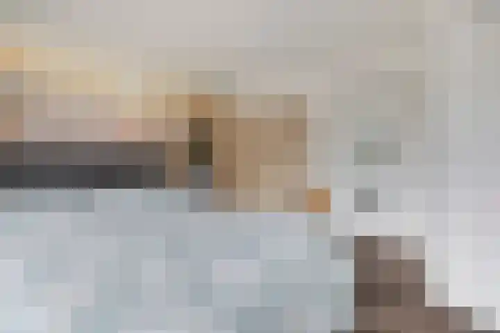 Lange Geer 15 Hansweert thumbnail 19