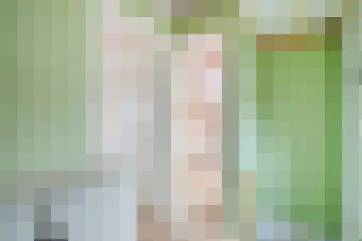 Lange Geer 15 Hansweert thumbnail 22