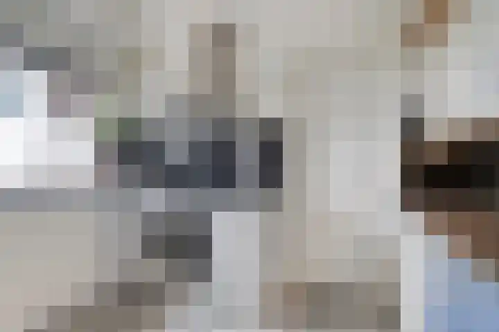 Lange Geer 15 Hansweert foto 3