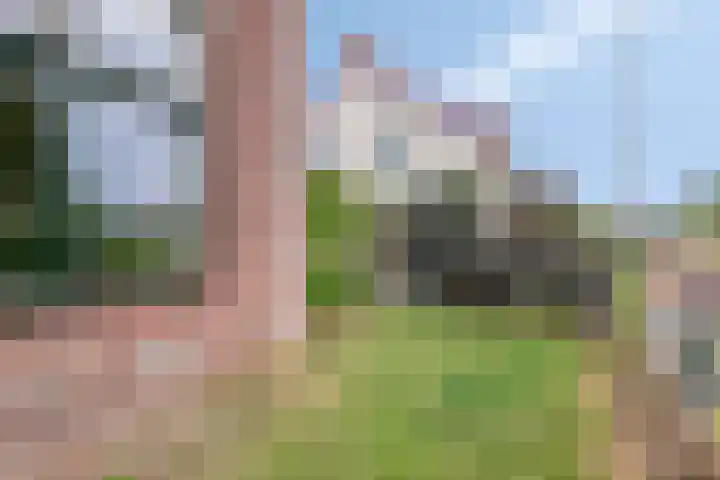 Lange Geer 15 Hansweert thumbnail 30