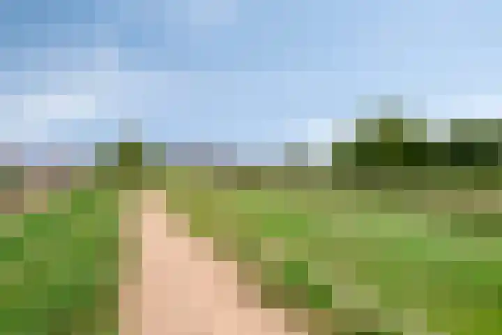 Lange Geer 15 Hansweert thumbnail 31