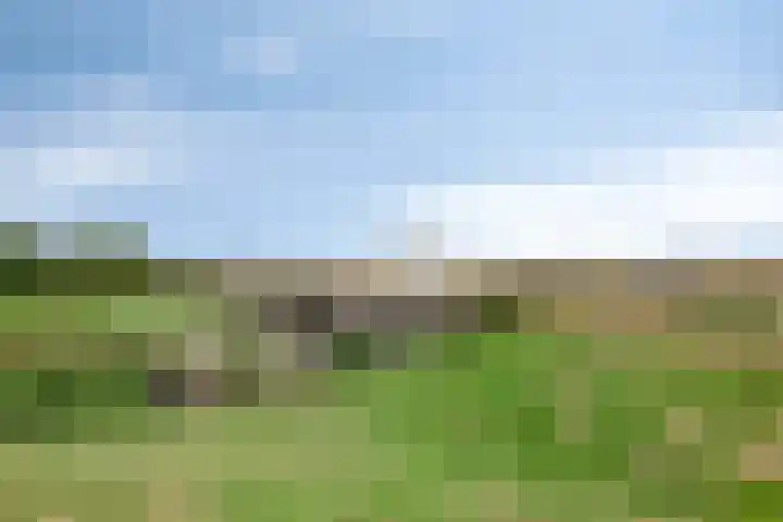 Lange Geer 15 Hansweert thumbnail 32