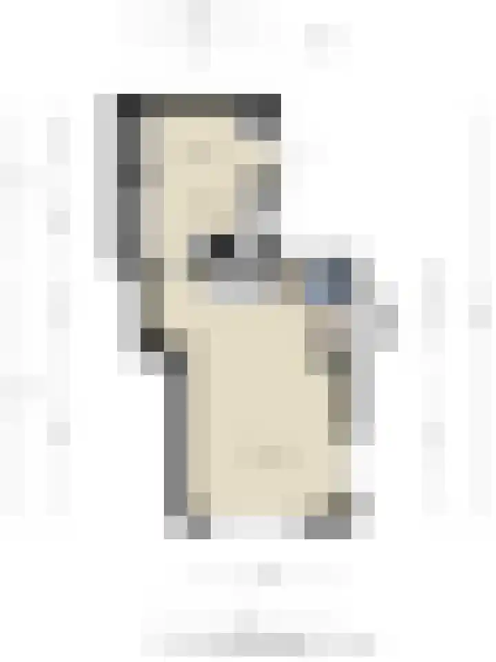 Lange Geer 15 Hansweert thumbnail 33