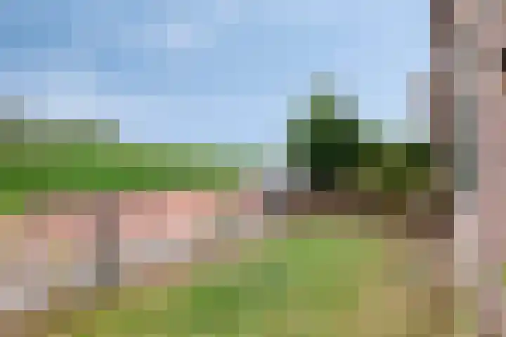 Lange Geer 15 Hansweert thumbnail 4