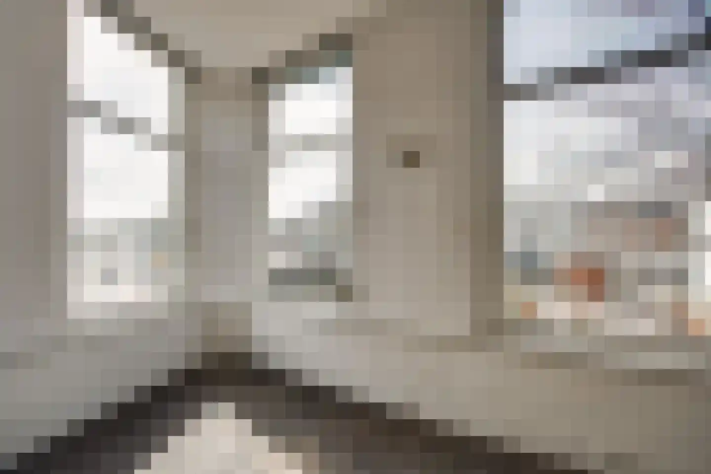 Lange Geer 2 A Delft thumbnail 15