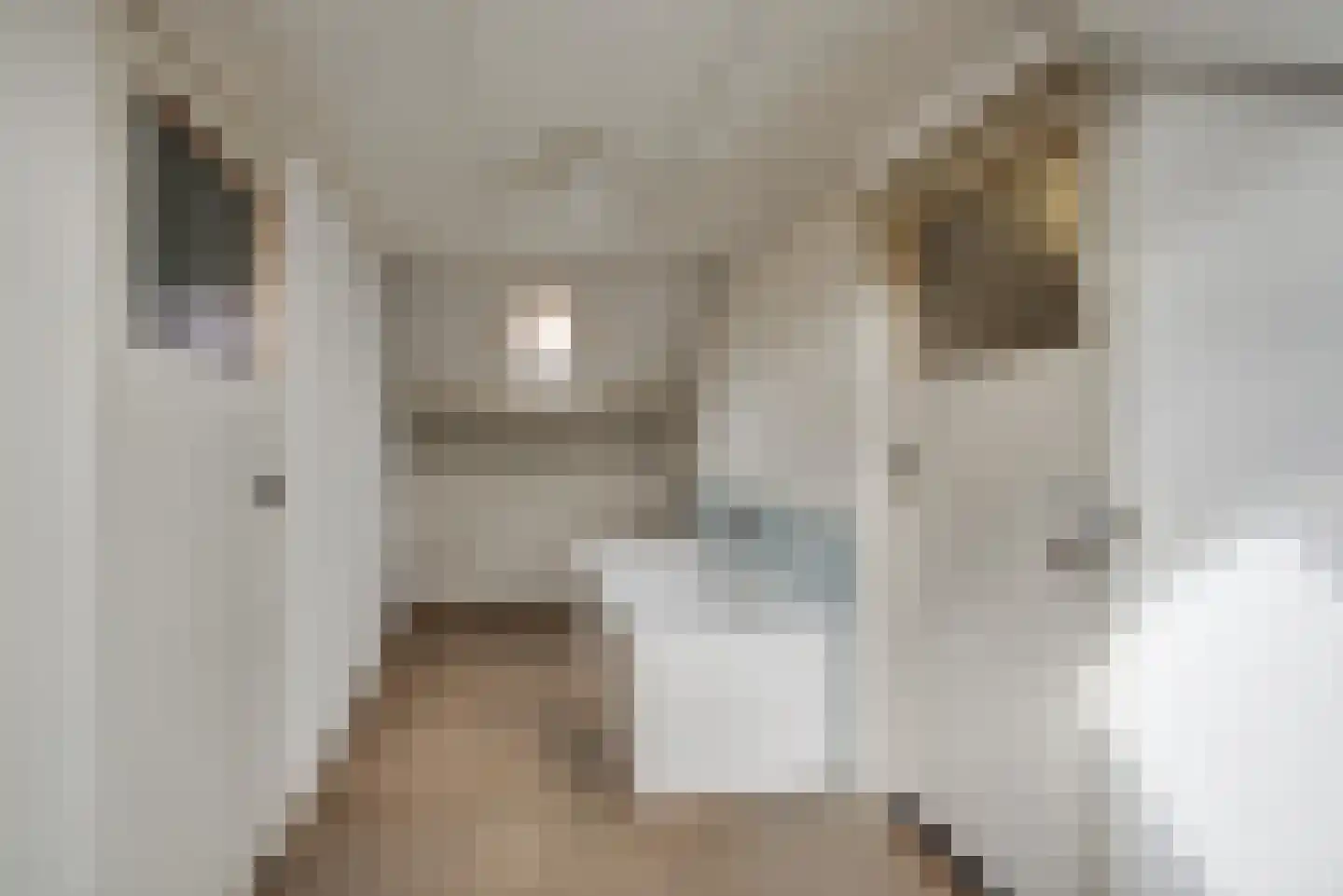 Lange Geer 2 A Delft thumbnail 31