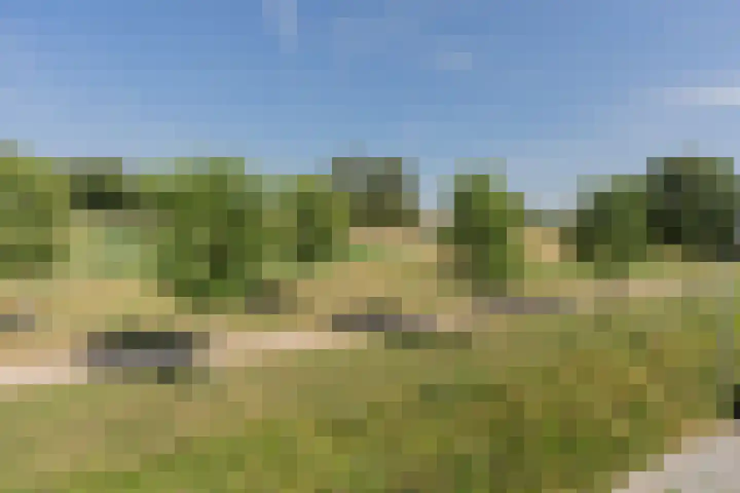 Lange Geer 7 Hansweert thumbnail 10