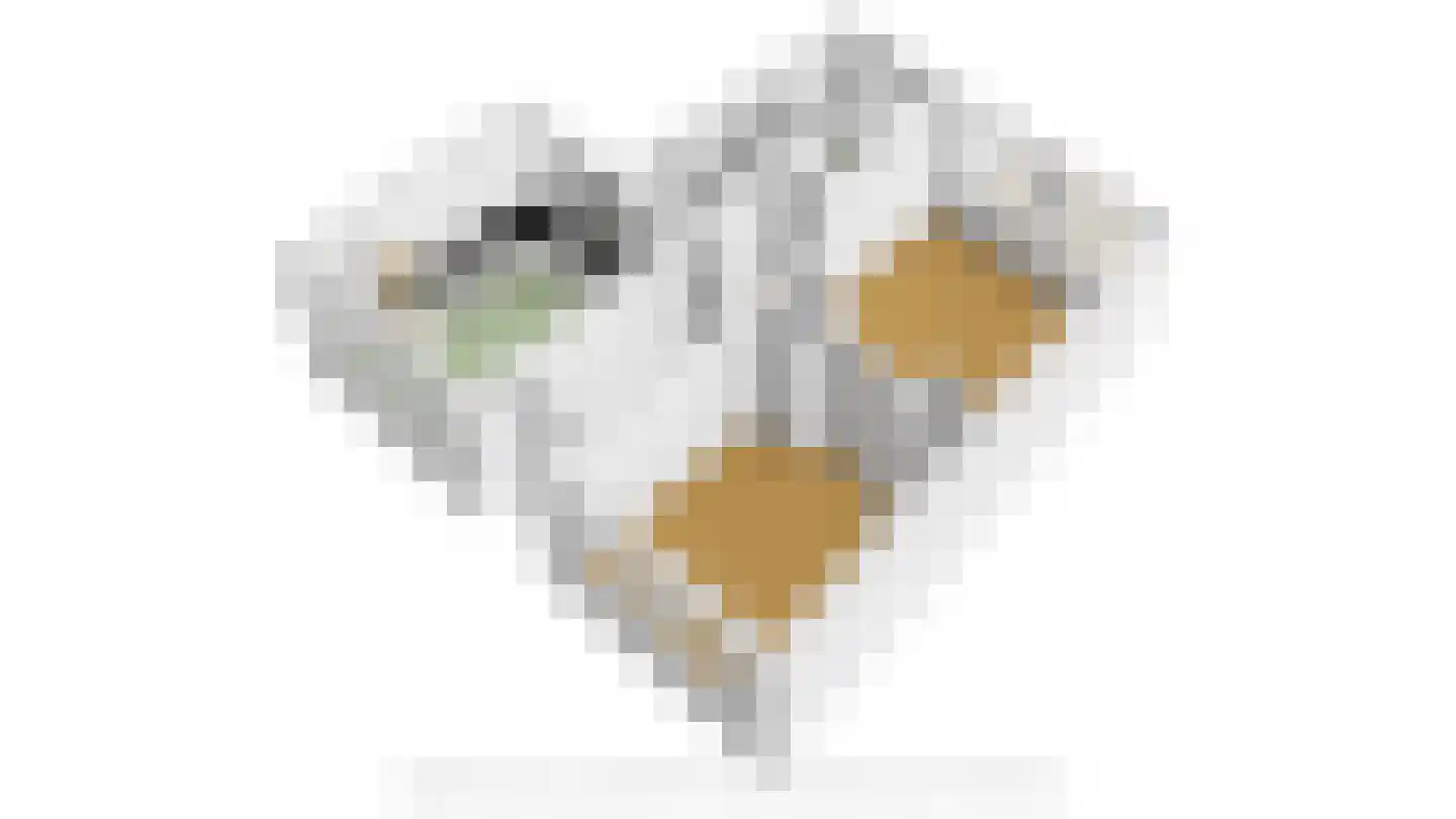 Lange Geer 7 Hansweert thumbnail 101