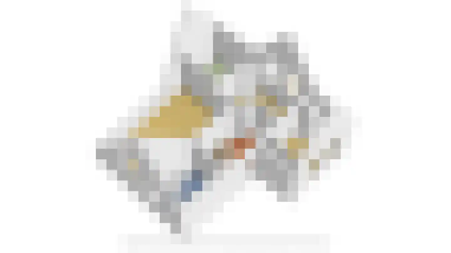 Lange Geer 7 Hansweert thumbnail 107