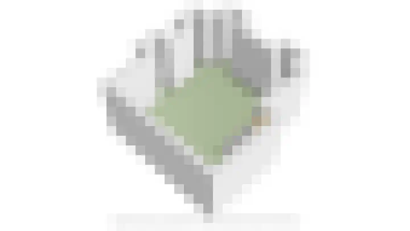 Lange Geer 7 Hansweert thumbnail 110