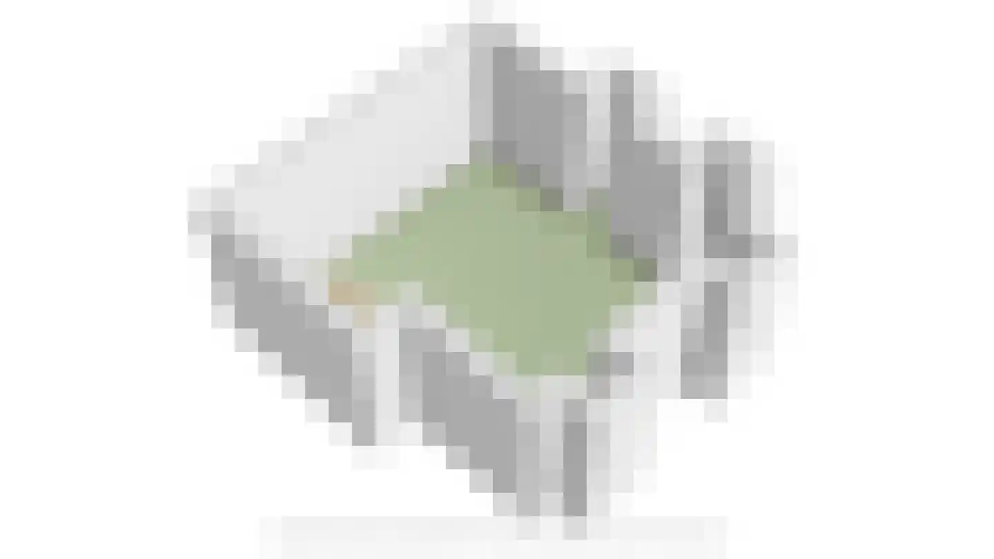 Lange Geer 7 Hansweert thumbnail 111