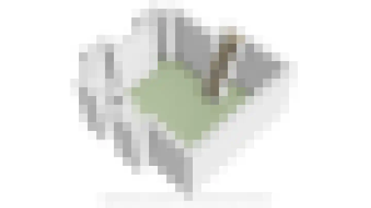 Lange Geer 7 Hansweert thumbnail 112