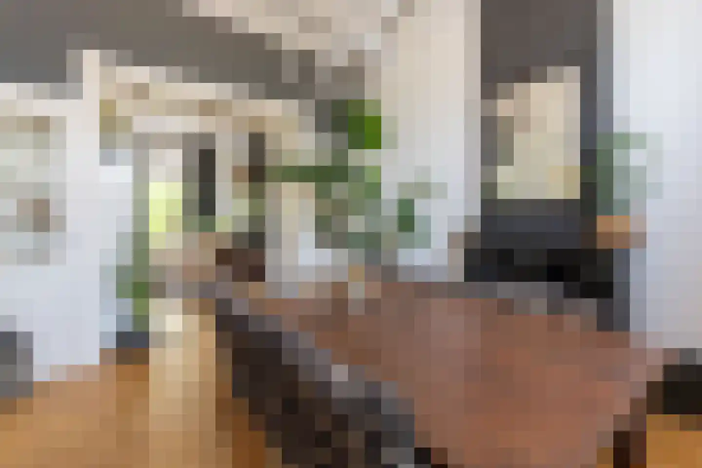 Lange Geer 7 Hansweert thumbnail 17