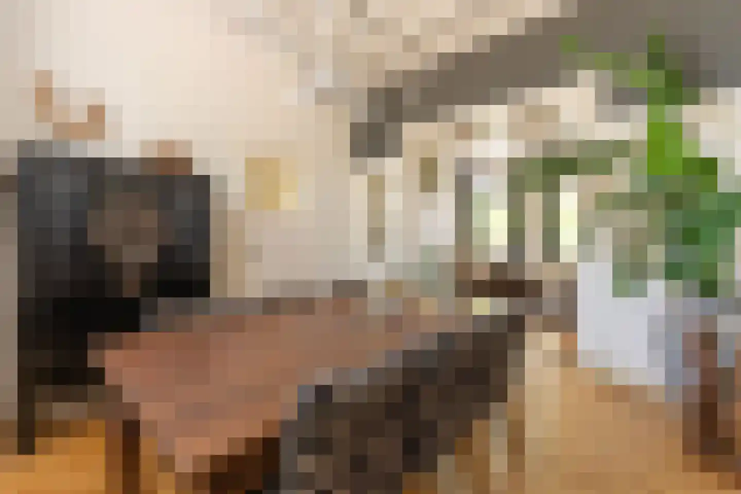 Lange Geer 7 Hansweert thumbnail 18