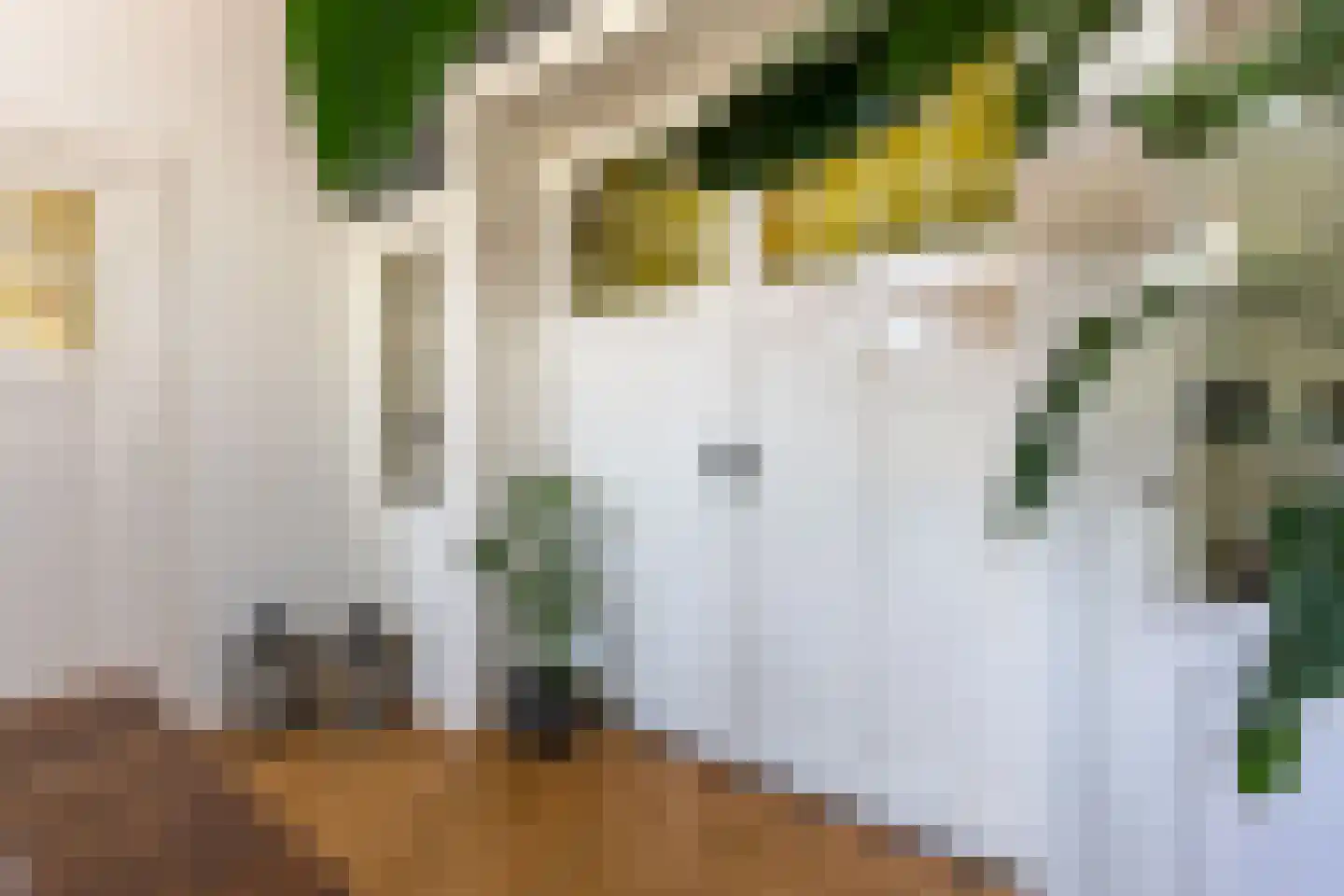 Lange Geer 7 Hansweert thumbnail 23