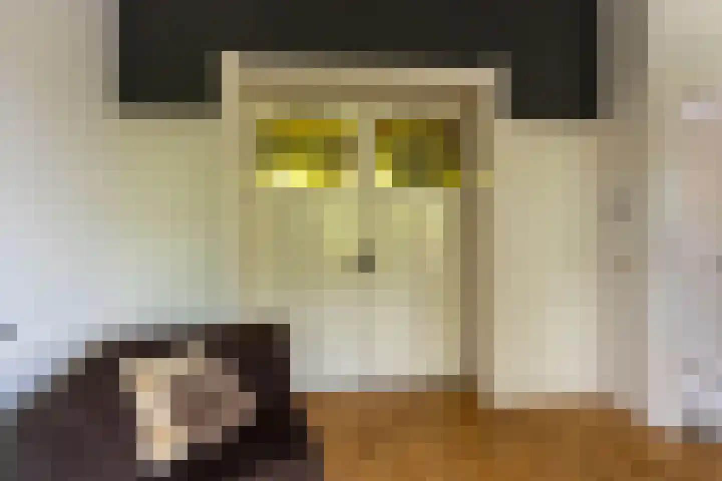 Lange Geer 7 Hansweert thumbnail 25