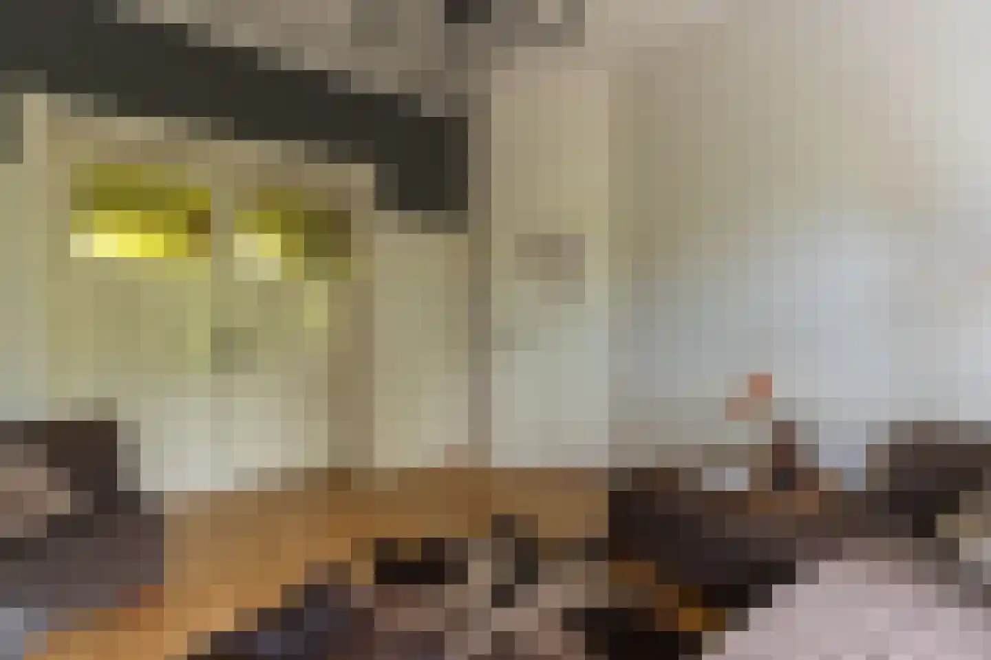 Lange Geer 7 Hansweert thumbnail 27