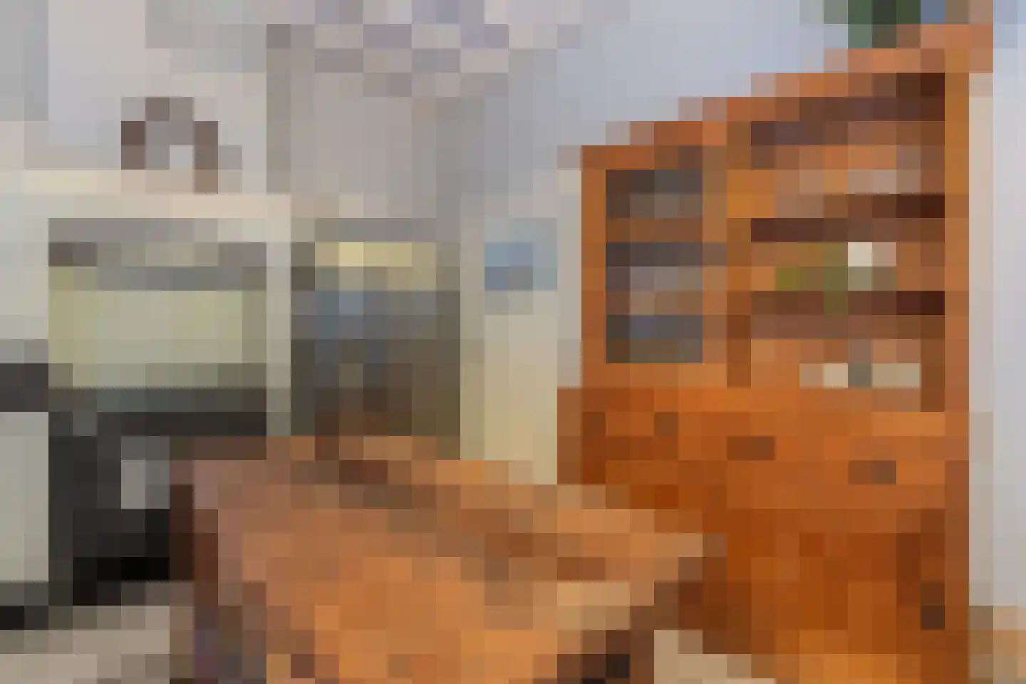 Lange Geer 7 Hansweert thumbnail 33