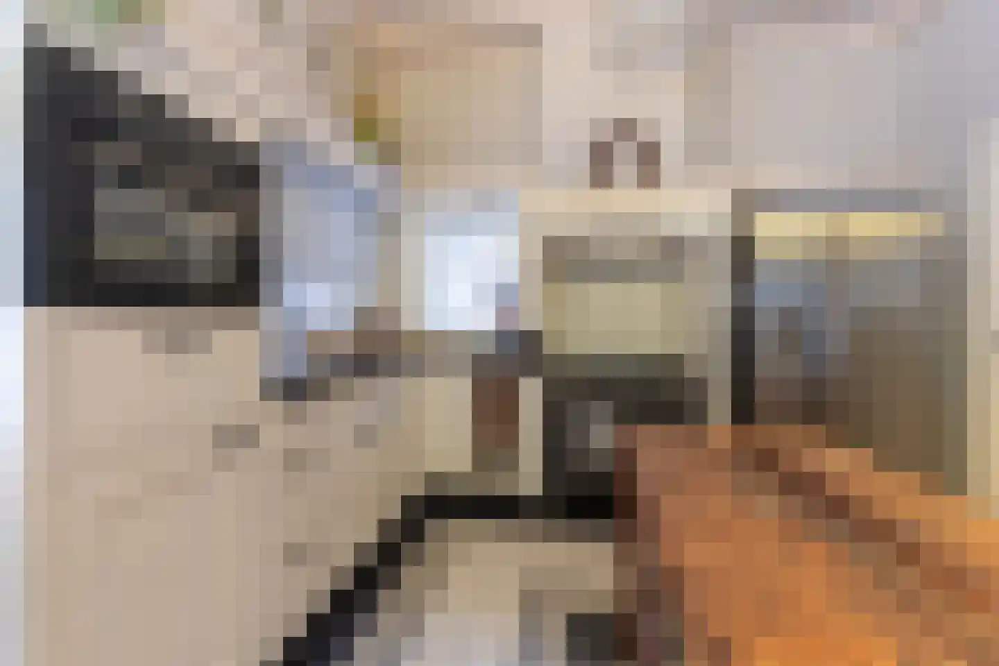 Lange Geer 7 Hansweert thumbnail 34