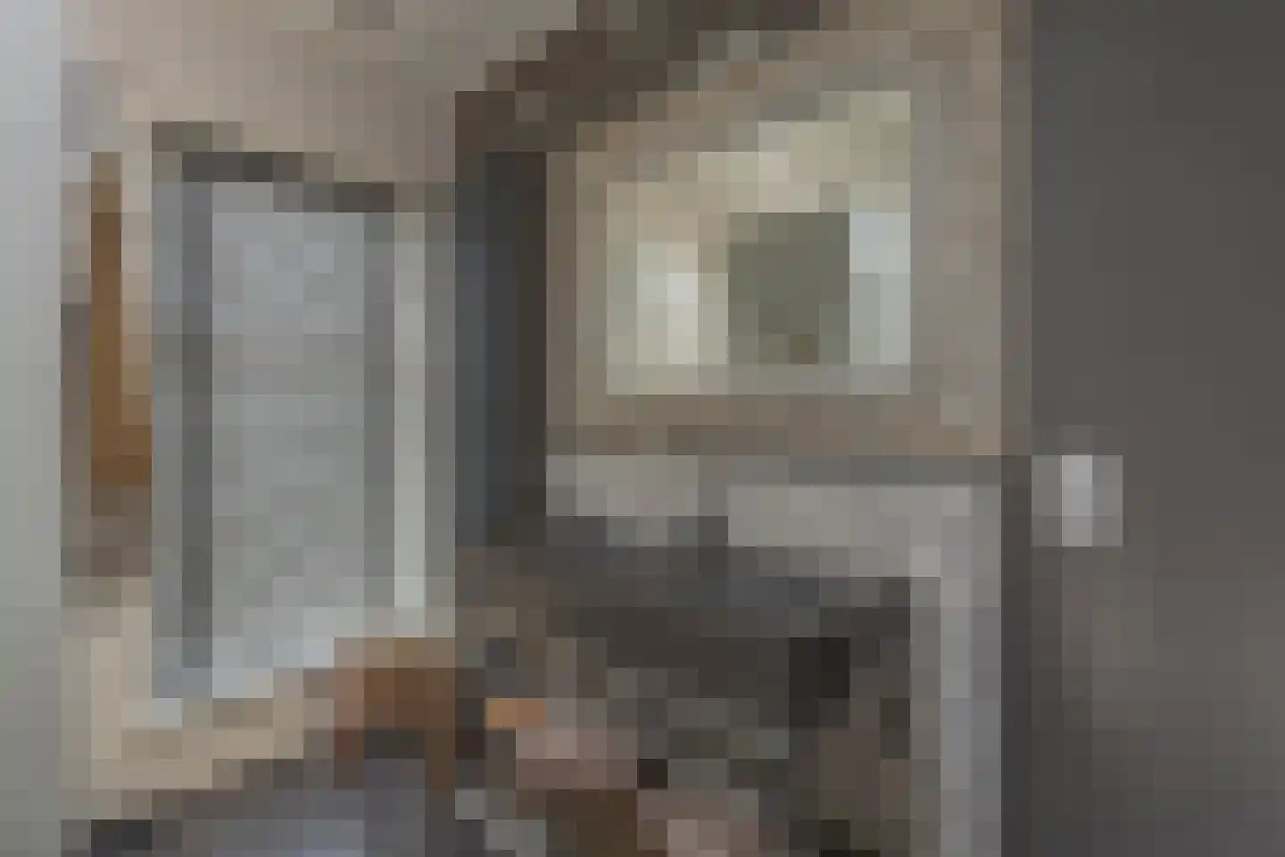 Lange Geer 7 Hansweert thumbnail 48