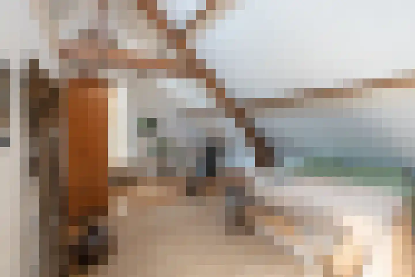 Lange Geer 7 Hansweert thumbnail 49